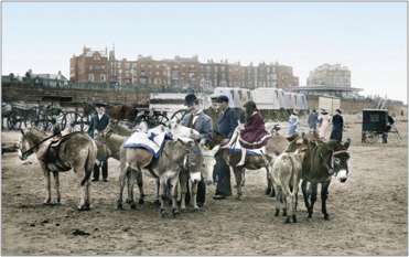 Donkeys on the Sands 1906, 54759t